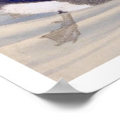 Poster Illustration vintage : canard à bec plat (Coin)