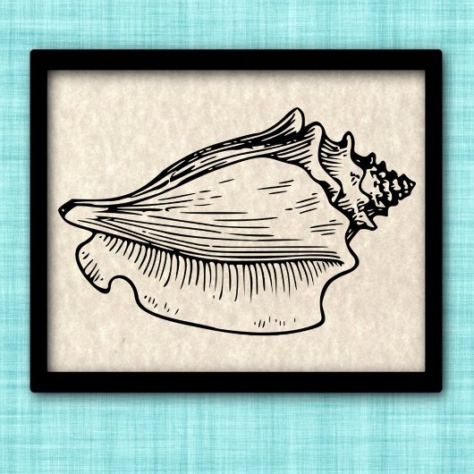 Poster Illustration Vintage Conch Shell