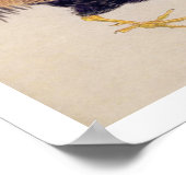 Poster Illustration vintage : Coq (Coin)