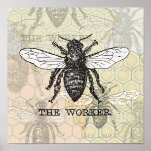 Poster Illustration vintage d'abeille ouvrière