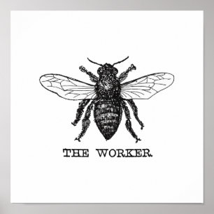 Poster Illustration vintage d'abeille ouvrière