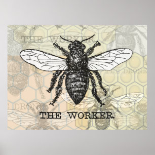 Poster Illustration vintage d'abeille ouvrière
