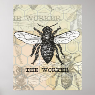 Poster Illustration vintage d'abeille ouvrière