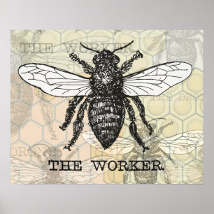 Poster Illustration vintage d'abeille ouvrière