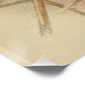 Poster Illustration vintage de Bluetit (Coin)