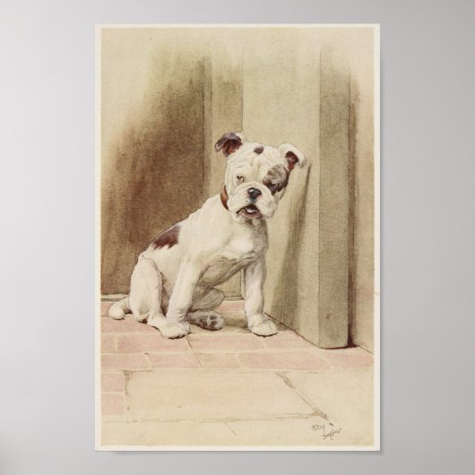 Poster Illustration vintage de Bulldog (Devant)