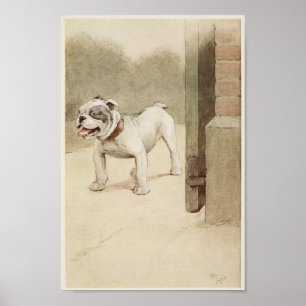Poster Illustration vintage de Bulldog