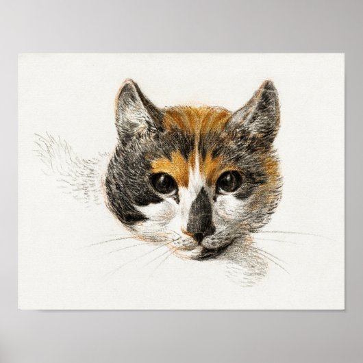 Poster Illustration vintage de chat (Devant)