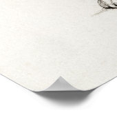 Poster Illustration vintage de chat (Coin)