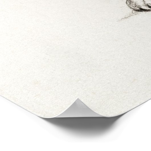 Poster Illustration vintage de chat (Coin)