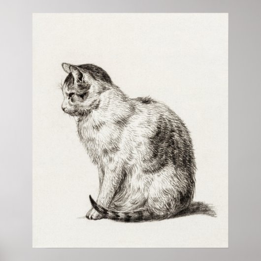 Poster Illustration vintage de chat (Devant)