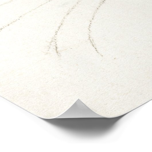 Poster Illustration vintage de chat (Coin)