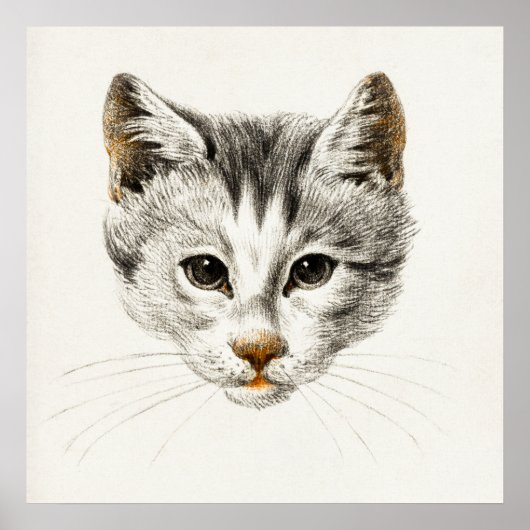 Poster Illustration vintage de chat (Devant)