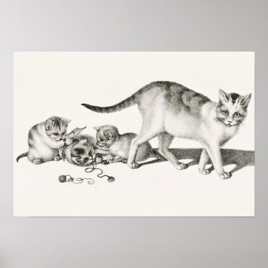 Poster Illustration vintage de chat (Devant)