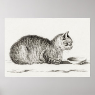 Poster Illustration vintage de chat