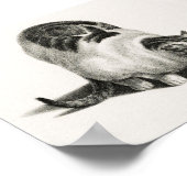 Poster Illustration vintage de chat (Coin)