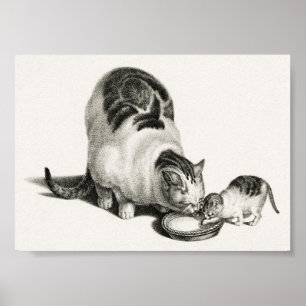 Poster Illustration vintage de chat