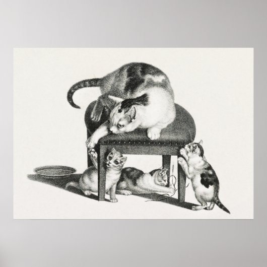 Poster Illustration vintage de chat (Devant)