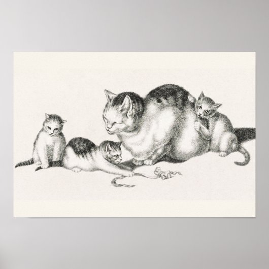 Poster Illustration vintage de chat (Devant)