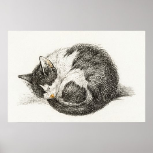 Poster Illustration vintage de chat (Devant)