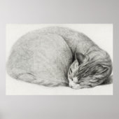Poster Illustration vintage de chat (Devant)