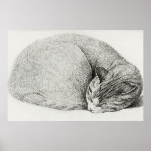 Poster Illustration vintage de chat (Devant)