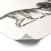 Poster Illustration vintage de chat (Coin)