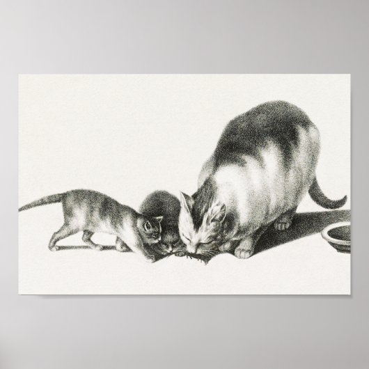 Poster Illustration vintage de chat (Devant)