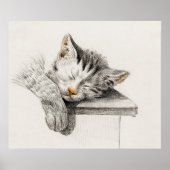 Poster Illustration vintage de chat (Devant)