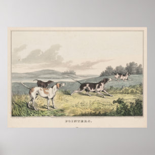 Poster Illustration vintage de Chiens Pointeurs (1846)