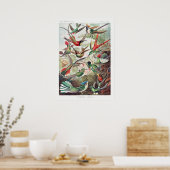 Poster Illustration vintage de colibri (Cuisine)