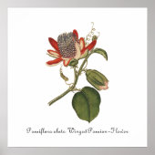 Poster Illustration vintage de la fleur de passion (Devant)