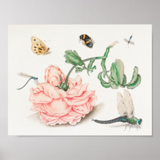 Poster Illustration vintage de l'abeille (Devant)