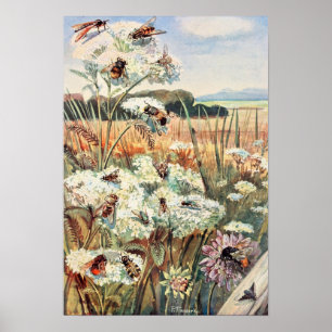 Poster Illustration vintage de l'abeille