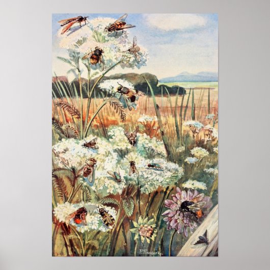 Poster Illustration vintage de l'abeille (Devant)