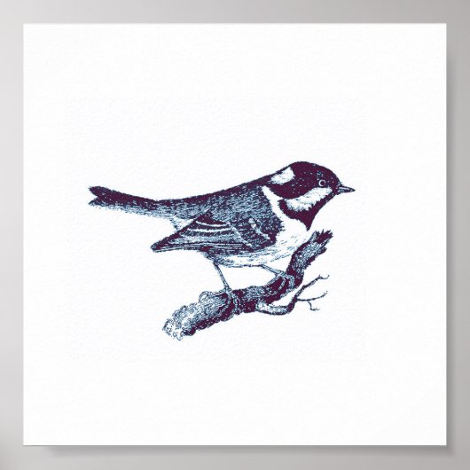 Poster Illustration Vintage de petit oiseau bleu mou (Devant)