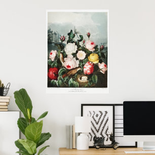 Poster Illustration vintage de Thornton Roses Bird Nest