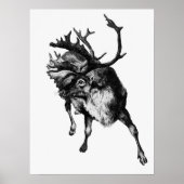 Poster Illustration vintage Deer (Devant)