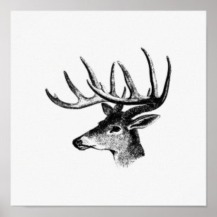 Poster Illustration vintage Deer