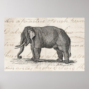 Poster Illustration vintage d'éléphant de 1800s -