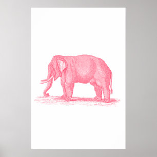 Poster Illustration vintage d'éléphants de 1800s