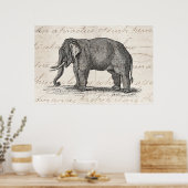 Poster Illustration vintage des années 1800 - Eléphants (Cuisine)