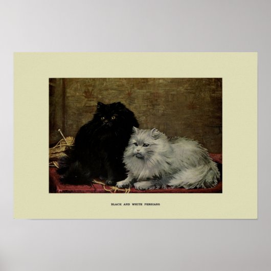 Poster Illustration vintage des chats (Devant)