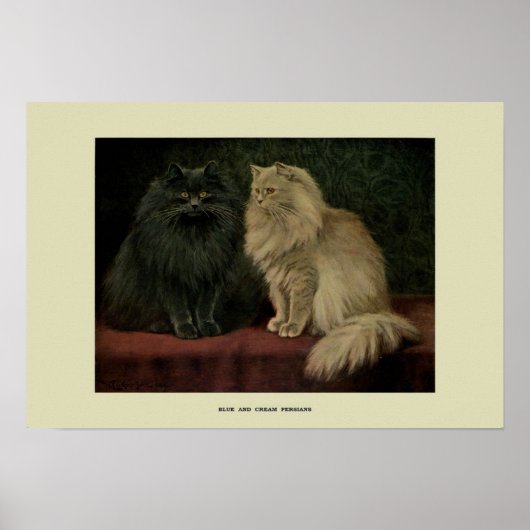 Poster Illustration vintage des chats (Devant)