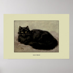 Poster Illustration vintage des chats