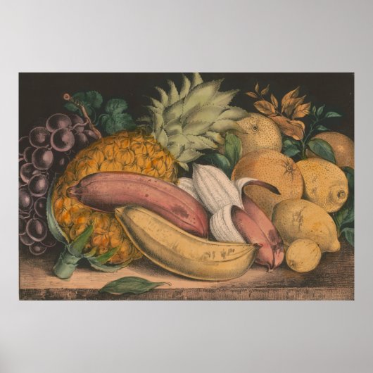 Poster Illustration vintage des fruits tropicaux (1871) (Devant)