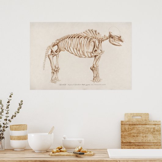 Poster Illustration vintage des mamographies (Cuisine)