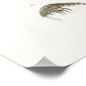 Poster Illustration vintage des mollusques (Coin)