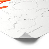 Poster Illustration vintage des mollusques (Coin)