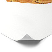 Poster Illustration vintage des mollusques (Coin)